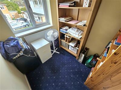 Picture 17